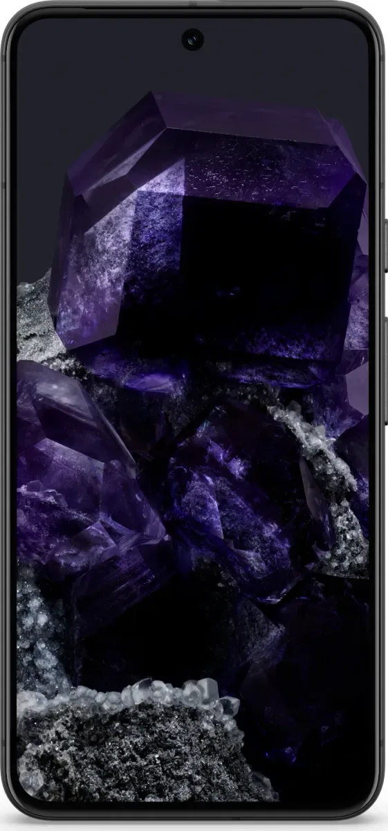 Google Pixel 8 (8GB RAM + 256 GB)
