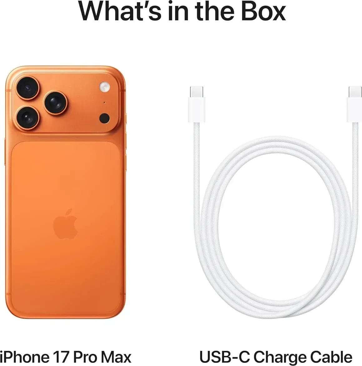 Apple iPhone 17 Pro Max (1TB) - 4