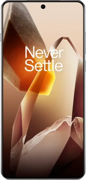 OnePlus 13 - 1